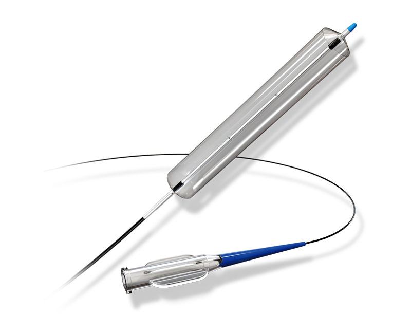 Ureteral Dilation Balloon Catheter