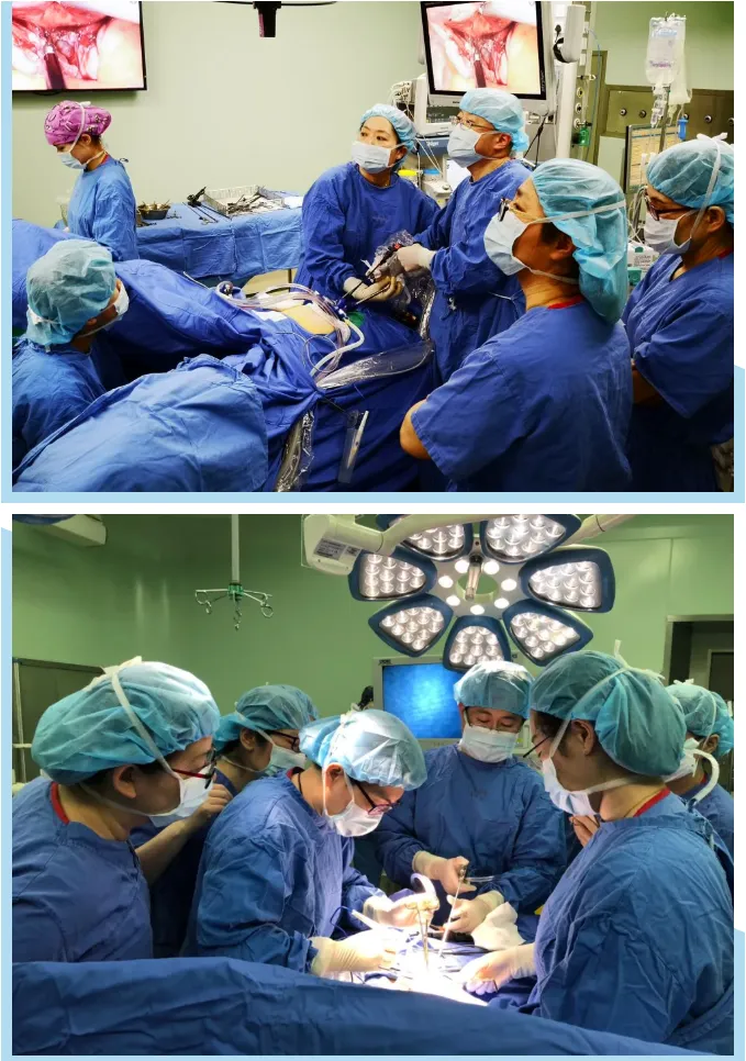 gynecologic single port laparoscopy training course 2019 renji south campus shanghai gynecologic single port laparoscopy training course 2019 renji south campus shanghai