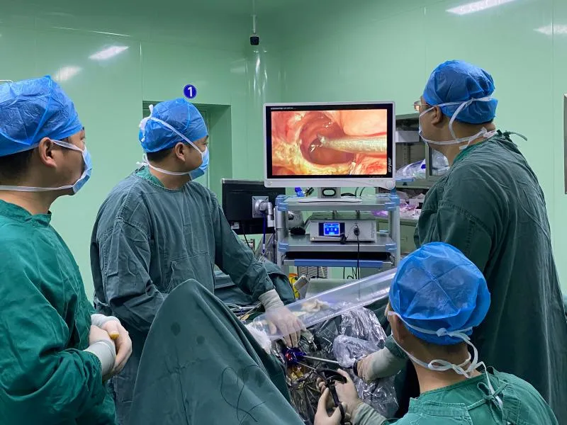 Single Port Laparoscopic Surgery Solution Transvaginal Clinical Solutions